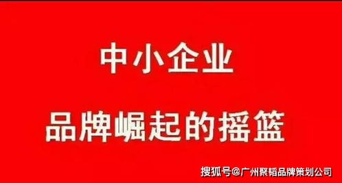 中小企業如何通過專業經濟貿易咨詢，高效打造品牌策劃
